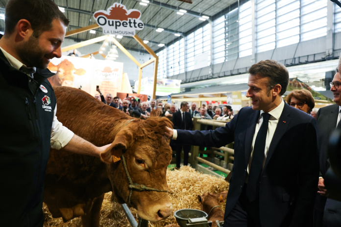 Emmanuel Macron et Oupette, représentante de la race Limousine et égérie du dernier Salon de l'Agriculture, le 22 février 2025 (Photo Alain Jocard / AFP).
