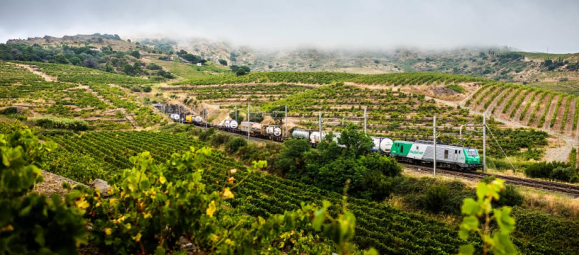 Hexafret, l'une des marques exploitées par Rail Logistics Europe (photo D.R.).