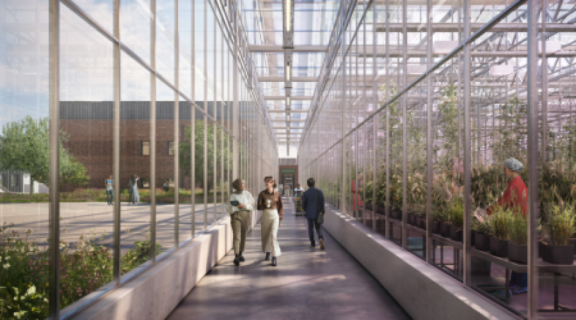 Les futures serres du John Innes Centre et du Sainsbury Laboratory, que va construire Vinci (illustration D.R.).