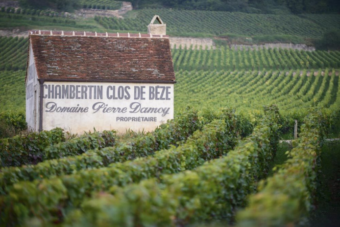 Le domaine Pierre Damoy, en Bourgogne, désormais propriété de la maison champenoise Louis Roederer (photo D.R.).