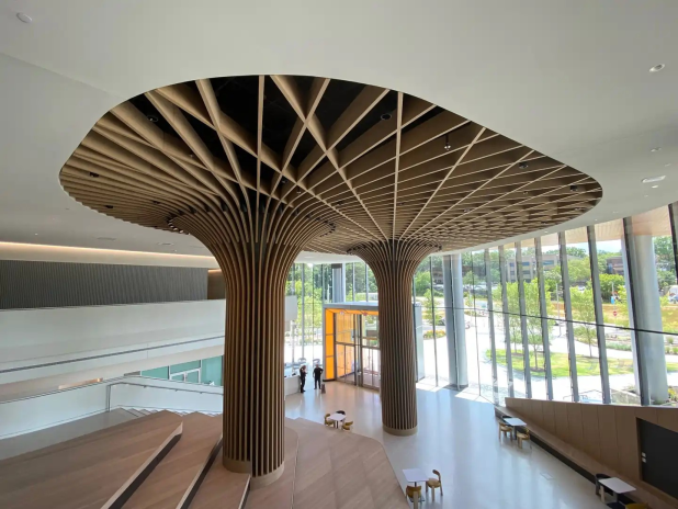 Panneaux acoustiques créés par MCM Acoustical pour The Pearl Education building, à Charlotte (photo D.R.).