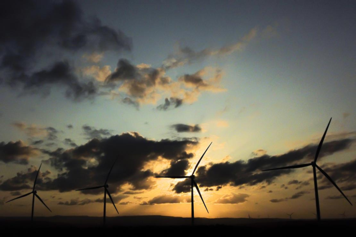 Parc éolien exploité par TotalEnergies (photo D.R.).