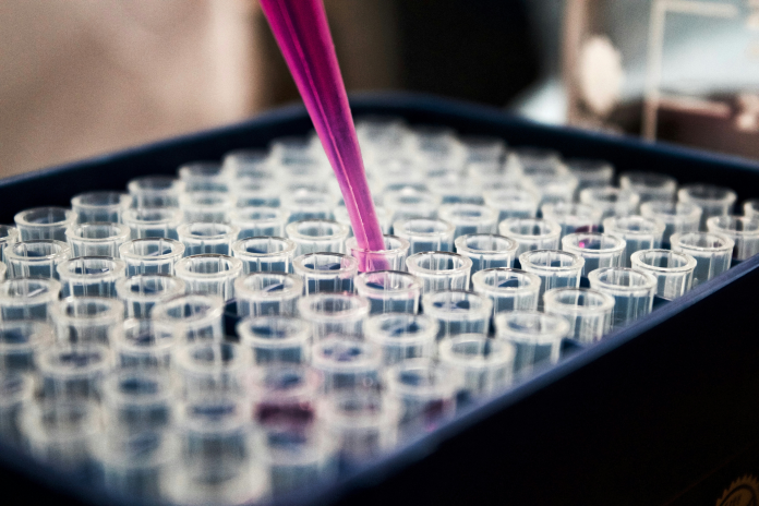 Laboratoire de recherche (photo Louis Reed/Unspalsh).
