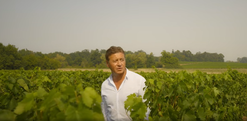 Laurent Marti dans les vignes du Château du Taillan (photo D.R.).