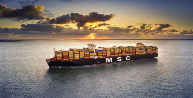 Un cargo de l'armateur MSC, en mer (photo D.R.).
