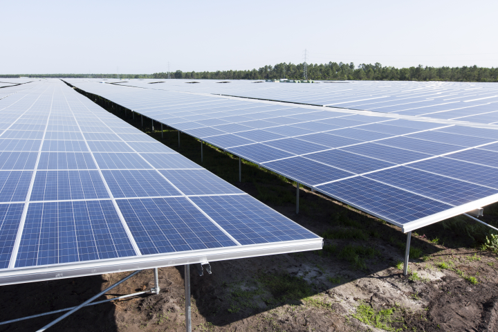 Cestas, plus grande centrale solaire d'Europe, située en Gironde, construite par Neoen - Sébastien ORTOLA/REA