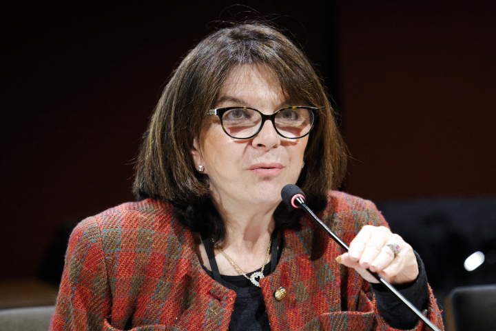 Nathalie Goulet ( Photo by Geoffroy Van der Hasselt / AFP)