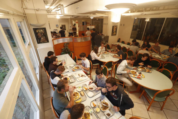 Cantine - restauration collective - plateau