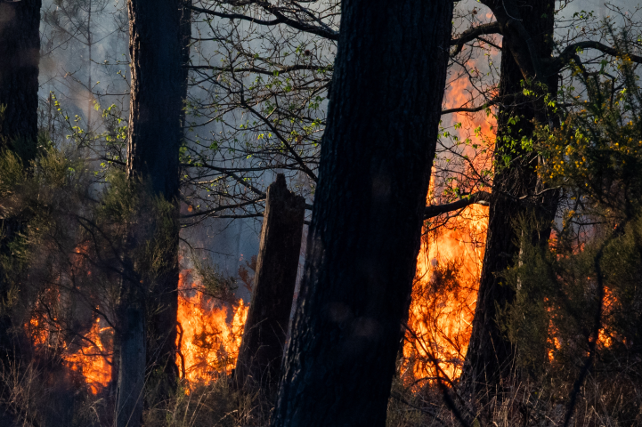 Feu de forêt. Photo by Estelle Ruiz / Hans Lucas / Hans Lucas via AFP