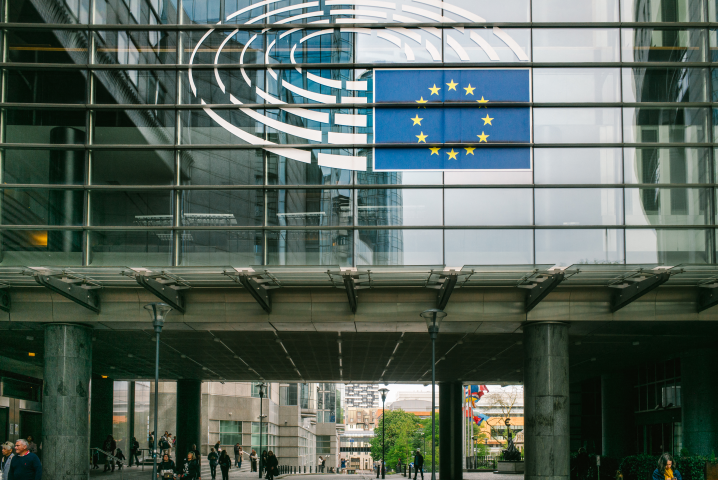 2025-04-19 - BELGIUM-EUROPEAN-PARLIAMENT - BRUSSELS (Photo by Herv� Chatel / Hans Lucas / Hans Lucas via AFP)