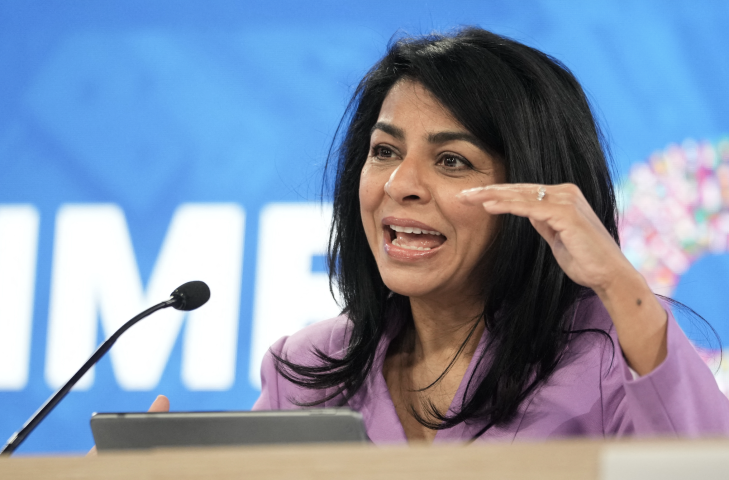 Era Dabla-Norris, directrice adjointe au département des affaires fiscales du FMI. Photo par OLIVER CONTRERAS / AFP