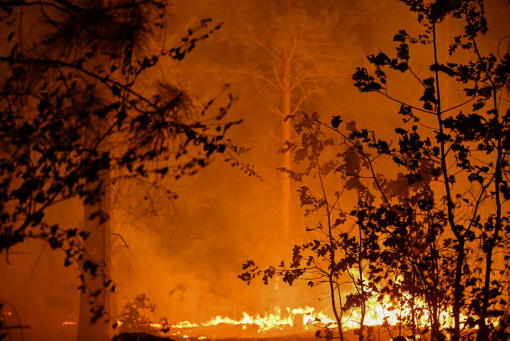 Incendie en Californie - TAYFUN COSKUN / ANADOLU / Anadolu via AFP