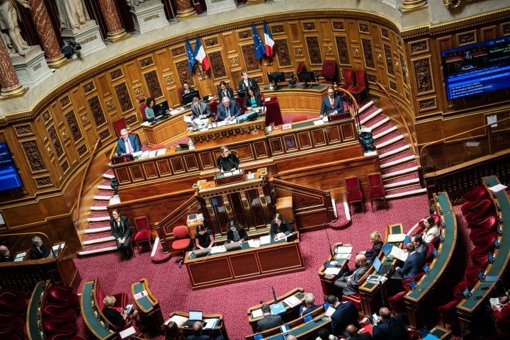 Sénat (Photo by Xose Bouzas / Hans Lucas / Hans Lucas via AFP)