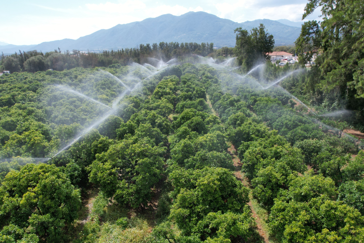 Une irrigation loin d'être anodine. Photo by PASCAL POCHARD-CASABIANCA / AFP