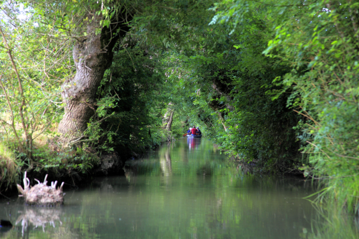Marais Poitevin - Photo par NICOLAS THIBAUT / PHOTONONSTOP / PHOTONONSTOP VIA AFP