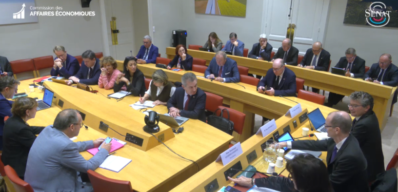 Commission des affaires économiques du Sénat. Crédits : Sénat