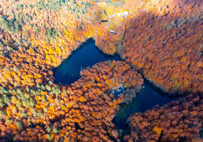 Forêt. Emin Sansar / Anadolu (Photo by Emin Sansar / ANADOLU / Anadolu via AFP