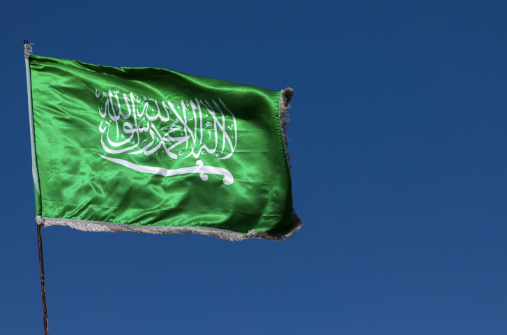 l'Arabie saoudite tire mieux son épingle du jeu que d'autres pays du G20. Photo by Eric Lafforgue / Hans Lucas / Hans Lucas via AFP