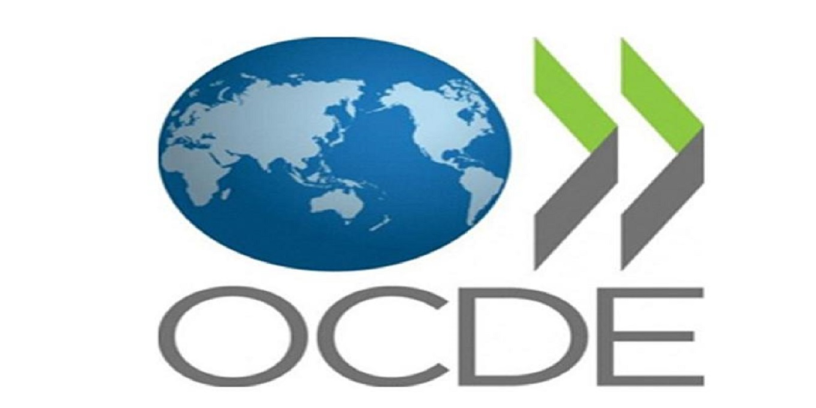 OCDE - logo