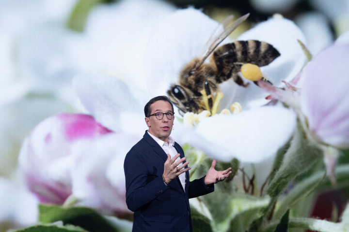 Nicolas Hieronimus, directeur général de L'Oréal (Photo by Brendan Smialowski / AFP)