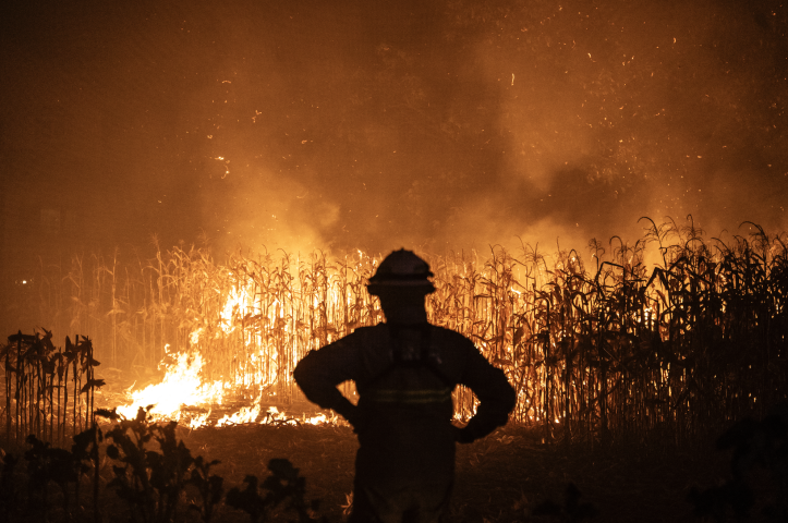 Incendie. Photo by Patricia DE MELO MOREIRA / AFP