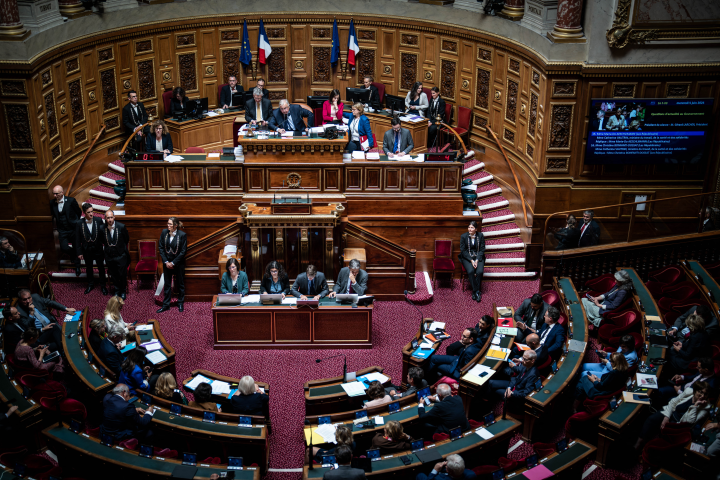 FRANCE - QUESTIONS TO THE FRENCH GOVERNMENT AT THE SENATE