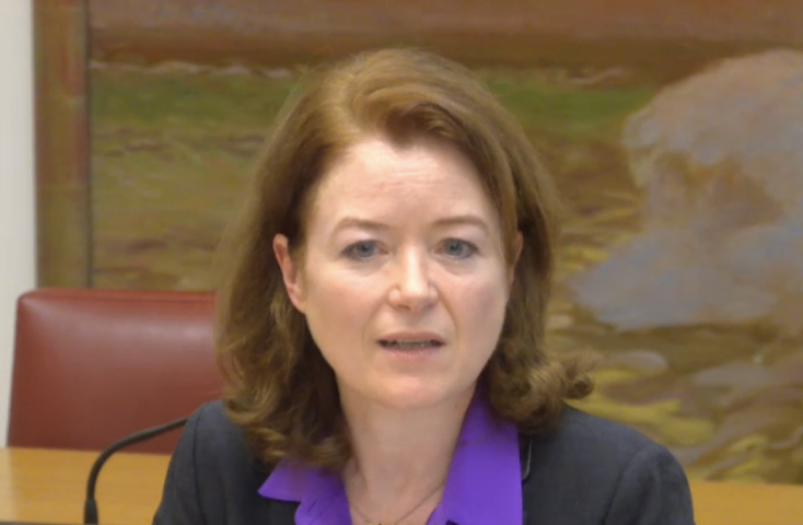 Mathilde Lignot-Leloup, présidente de section de la 1ère chambre de la Cour des comptes (Sénat) 