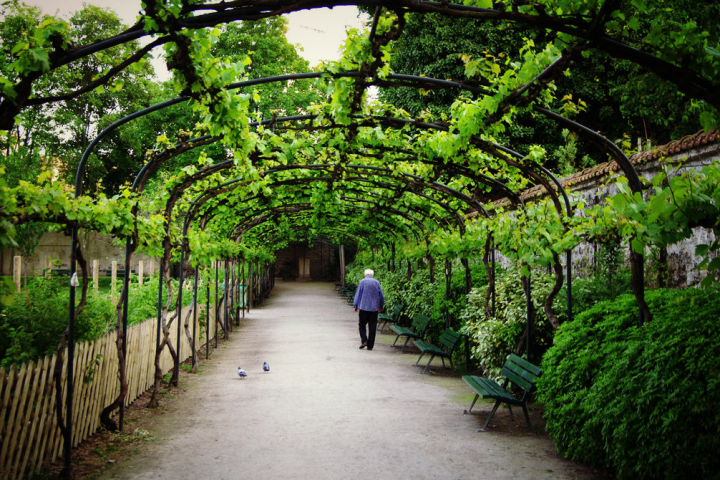 Le jardin Catherine Labouré