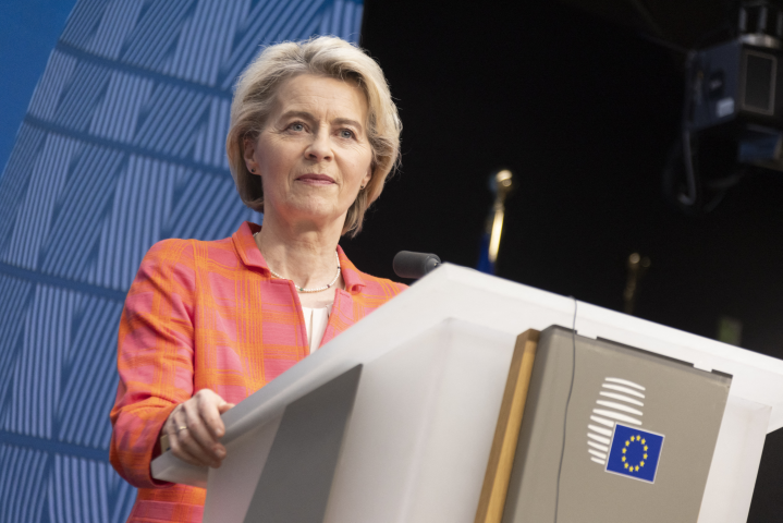 Ursula von der Leyen, présidente de la Commission européenne - Diego Ravier / Hans Lucas / Hans Lucas via AFP


